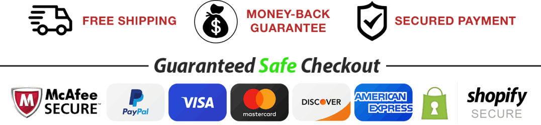 Synaptigen secure payment